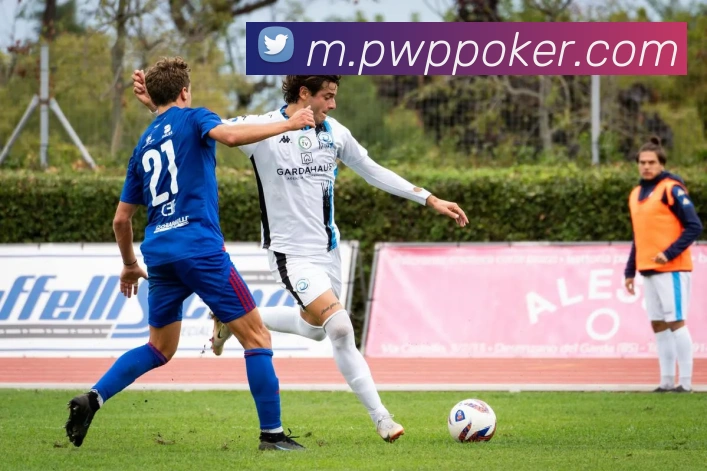 App Interface Preview